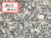 優質芝麻白海會花 礦山直銷 精準紅外線加工 星子義門石材供應